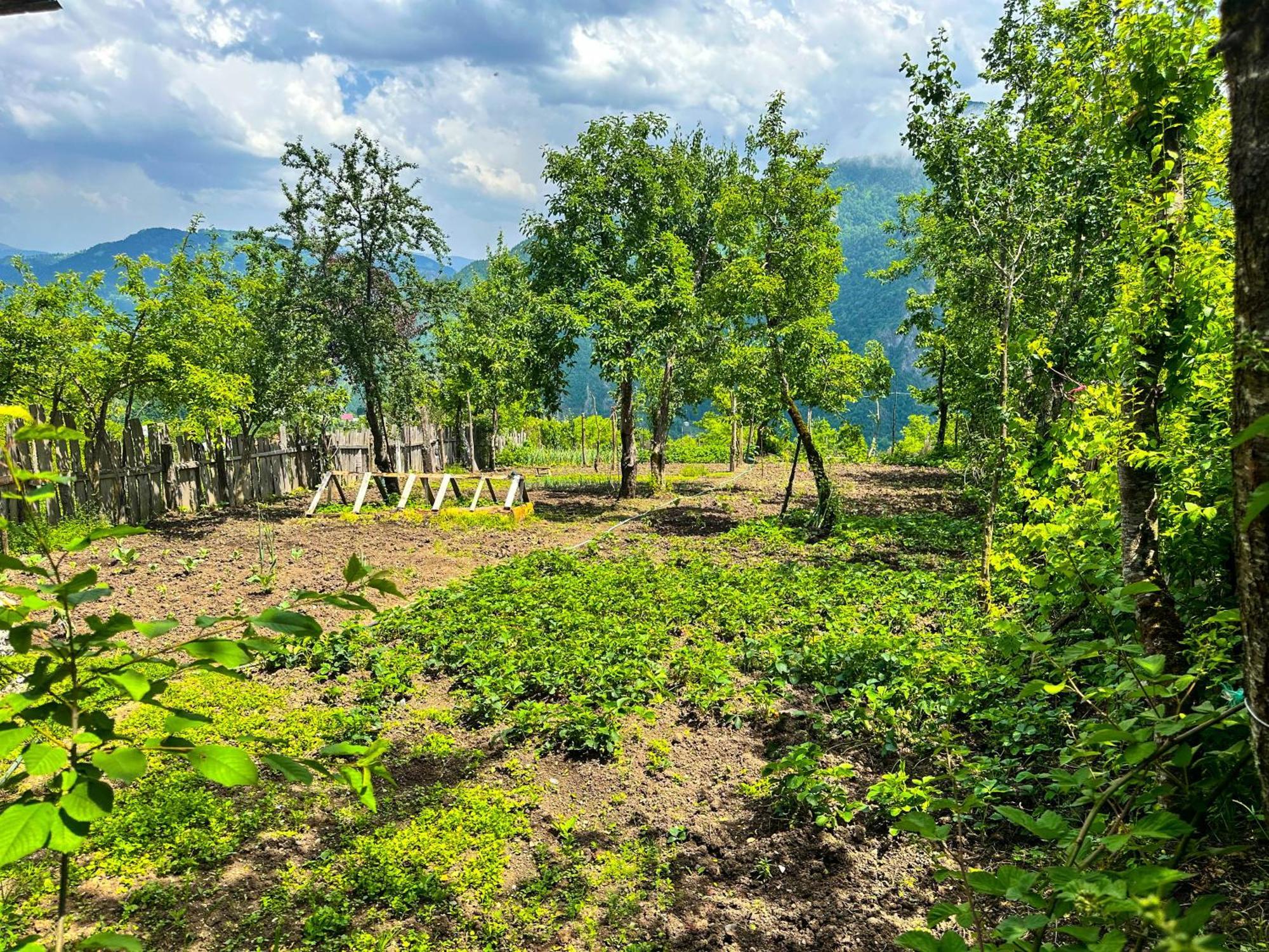 Hotel Armazi Khulo Zewnętrze zdjęcie